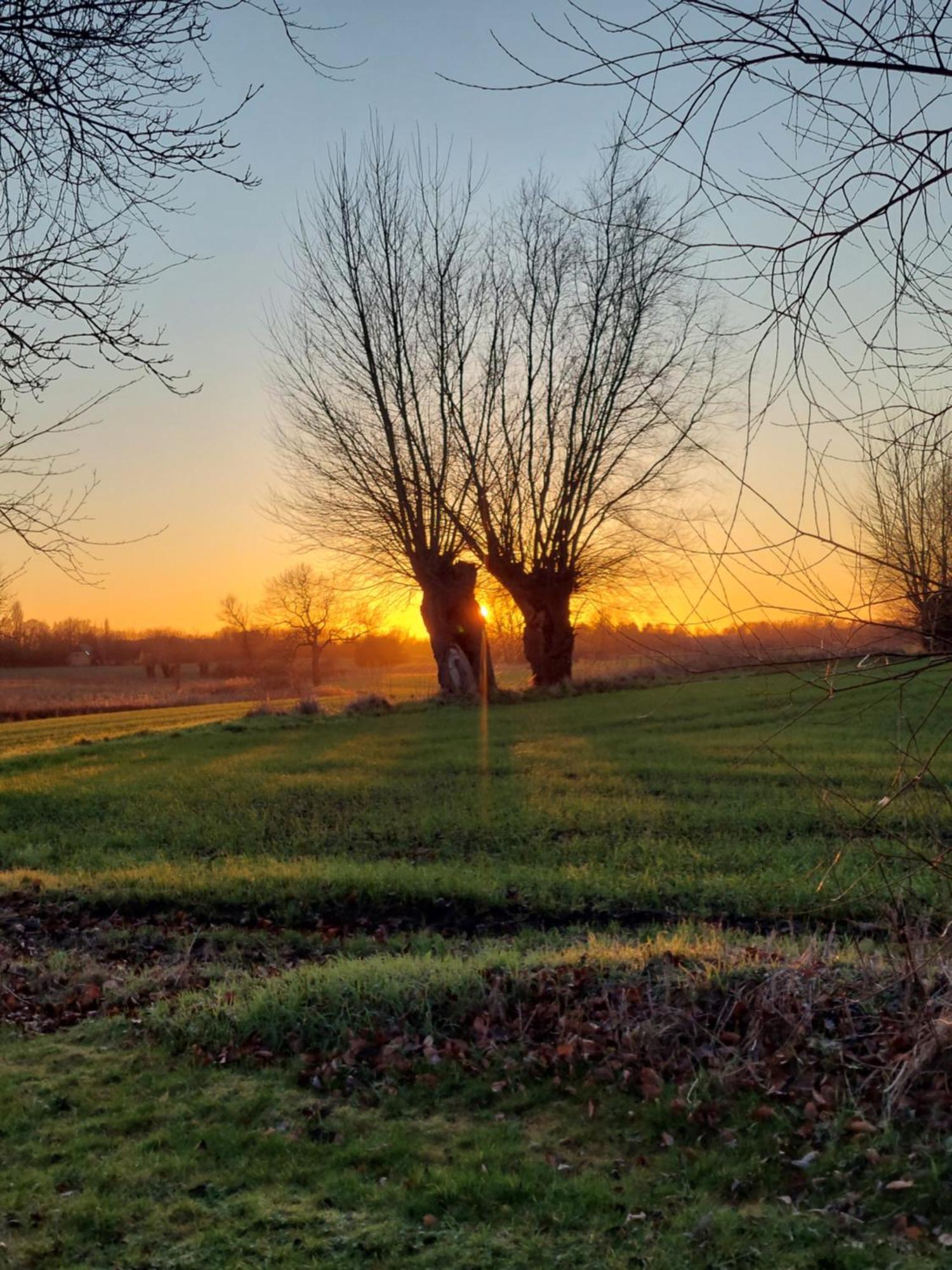 Bed & Breakfast Krogsgaardens Odense